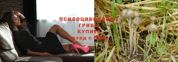соль курить ск Алзамай