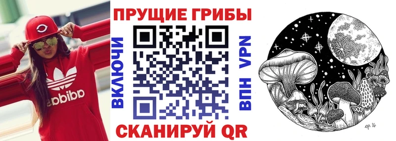 Галлюциногенные грибы Magic Shrooms  kraken маркетплейс  Дудинка 